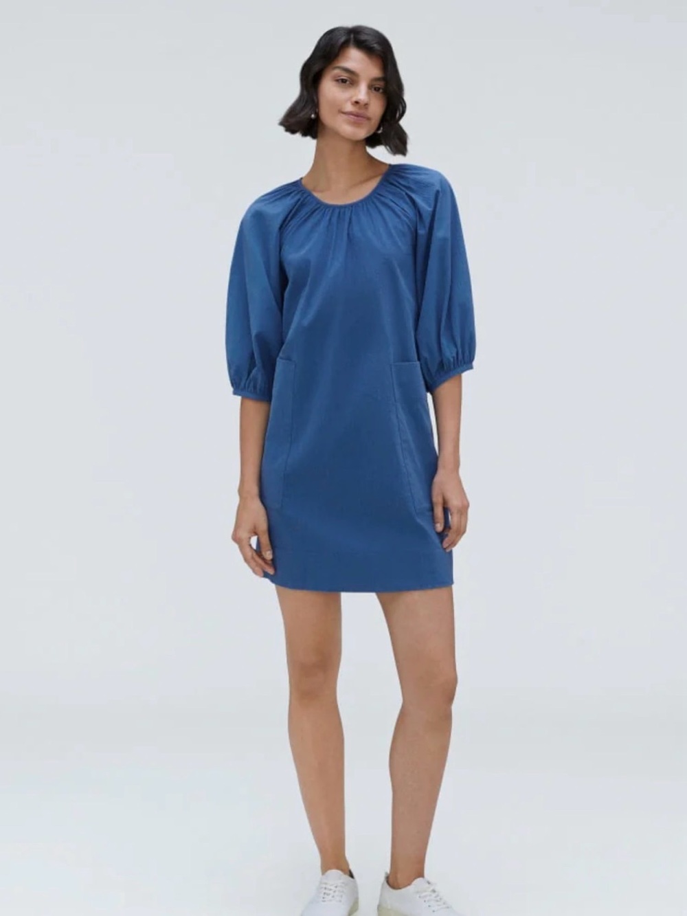 Everlane Seersucker Blue Puff-Sleeve Shift Dress Large